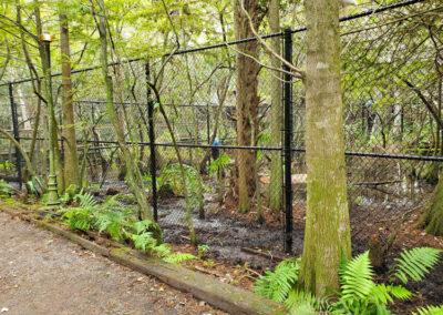 Chain Link Fencing